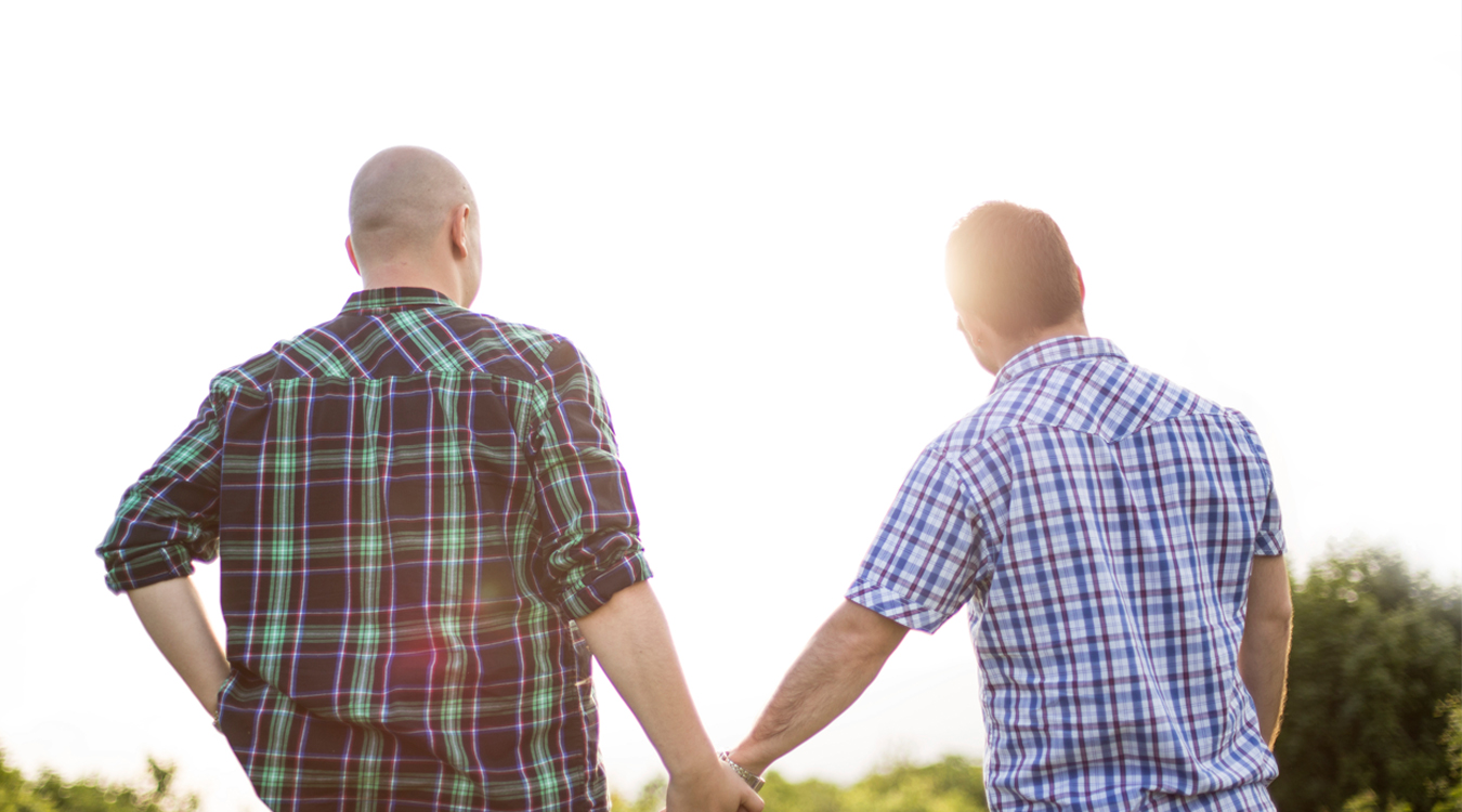 A gay couple hold hands as they watch the sun set.